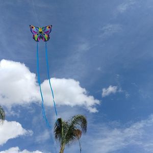 Meet your Posher, Carol